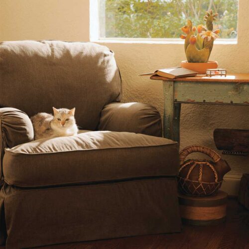 The Basics of Passive Solar Home Design